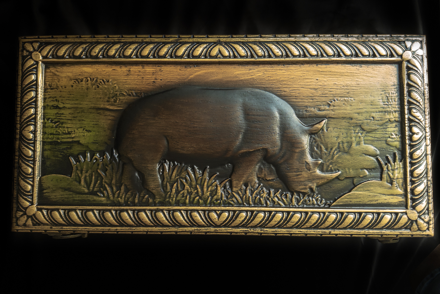 Rhinocéros Sauvage
